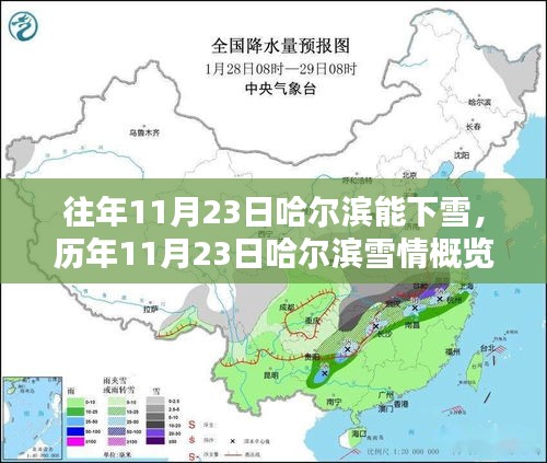 历年11月23日哈尔滨雪情概览，气候特点与体验评析，雪天的魅力与感受