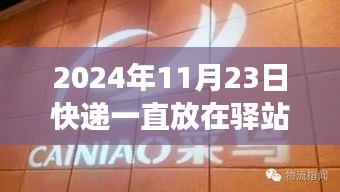 关于快递驿站服务与送货上门体验的深度解析，快递能否在2024年11月23日由驿站送到家中？