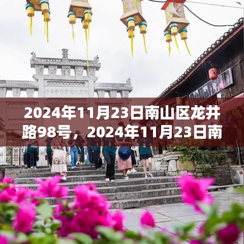 2024年11月23日南山区龙井路98号任务完成攻略，初学者与进阶用户指南