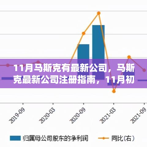 马斯克最新公司注册指南，从初学者到进阶用户的必备步骤