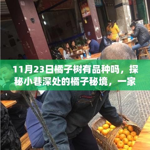 探秘橘子品种宝藏店，橘子秘境中的品种多样性之旅（11月23日特辑）