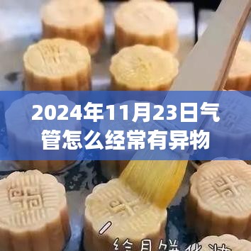 气管异物频发背后的原因及应对策略，以观察点2024年1月为例