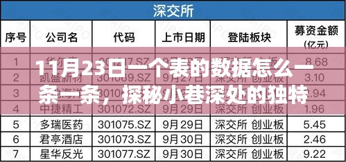 探秘小巷深处的独特风味，特色小店秘密表之旅（11月23日）