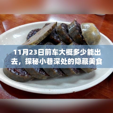 探秘小巷深处美食天堂，揭秘11月末出行时间表，遇见独特风味故事