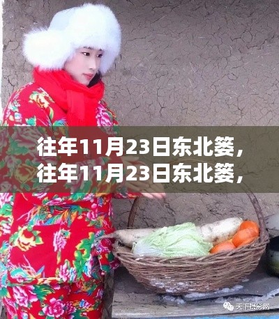 往年11月23日东北篓，深度测评与详细介绍