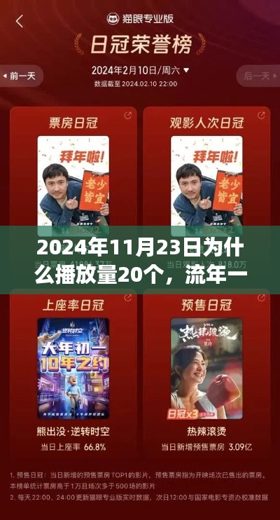 2024年11月23日为什么播放量20个，流年一瞬，探寻2024年11月23日播放量仅20个背后的故事