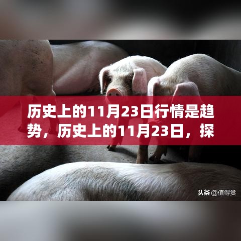 历史上的11月23日行情趋势深度探究，行情演变之旅