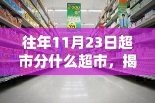 揭秘十一月二十三日的超市百态，类型、特色与一览无余的超市风采