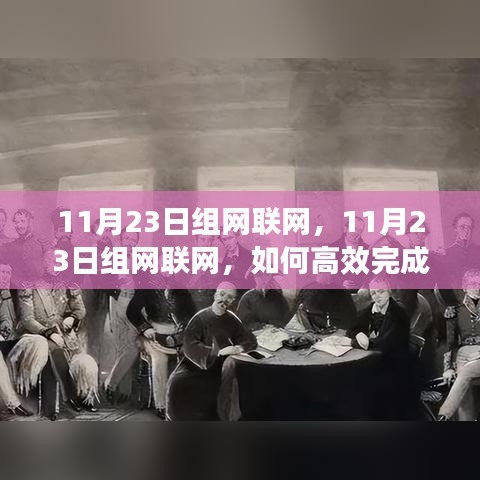 11月23日组网联网攻略，高效完成网络构建与优化的关键步骤