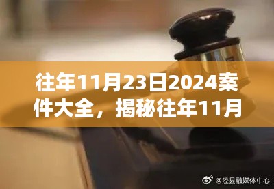 揭秘往年11月23日重大案件，2024案件大全概览