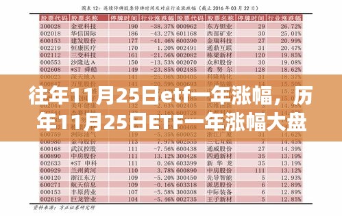 历年11月25日ETF一年涨幅解析，洞悉投资增长趋势大盘点！