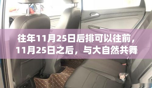 追寻内心平静的奇妙之旅，与自然共舞，11月25日后的前行探索