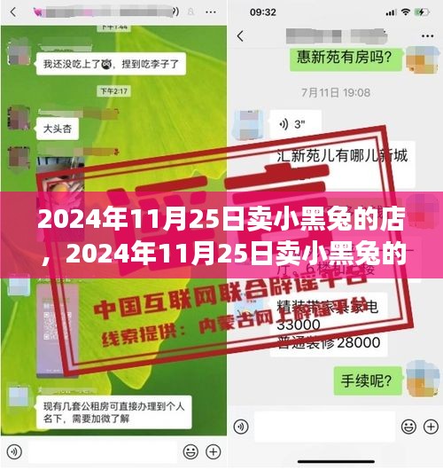 2024年11月25日卖小黑兔的店，购买指南与详细步骤