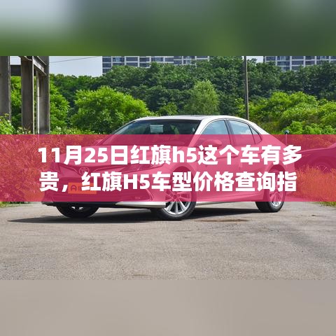 红旗H5车型价格查询指南，最新价格、购车步骤及车型介绍（针对11月25日）