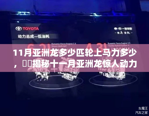 揭秘11月亚洲龙的轮上马力，动力表现如何？