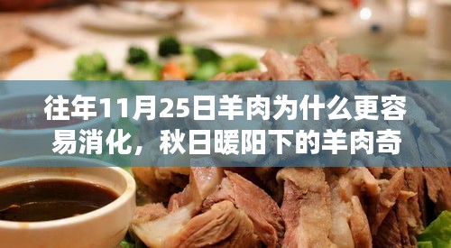 秋日暖阳下的羊肉奇缘，消化之谜与家的温馨美食——为何11月25日的羊肉更易消化