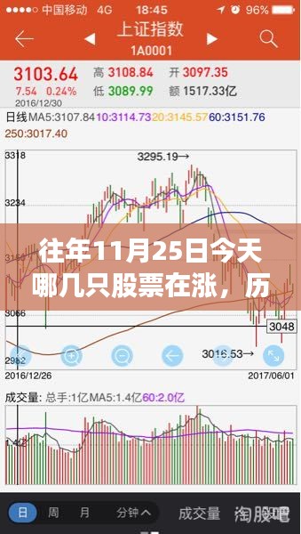 历年11月25日股市热门股票走势回顾与今日涨跌分析