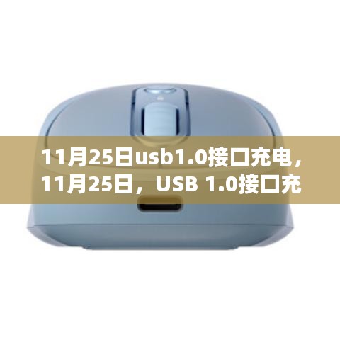 11月25日usb1.0接口充电，11月25日，USB 1.0接口充电技术的深度解析