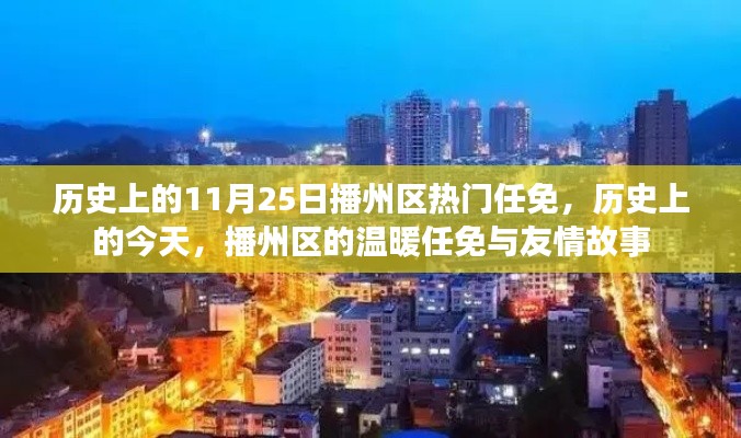 历史上的今天，播州区的温暖任免与友情故事，11月25日的回顾与展望