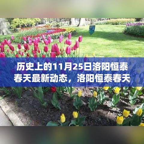 洛阳恒泰春天最新动态，温馨日常的回忆之旅在历史上的这一天展开