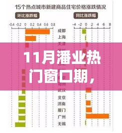 11月潘业热门窗口期产品全面评测与介绍，一站式了解热门产品