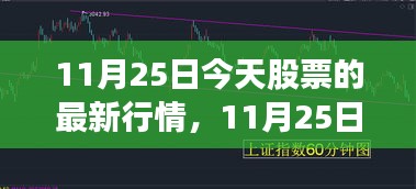 11月25日股市最新行情分析与深度解析