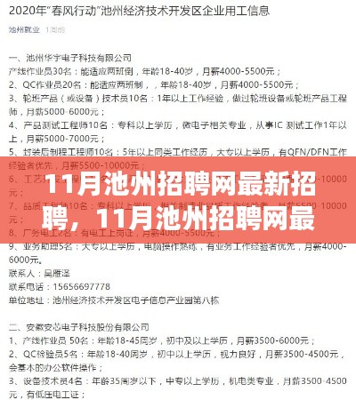 11月池州招聘网最新招聘信息汇总，职场人的黄金选择指南