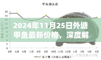 深度解析，2024年外塘甲鱼最新价格、特性及用户体验