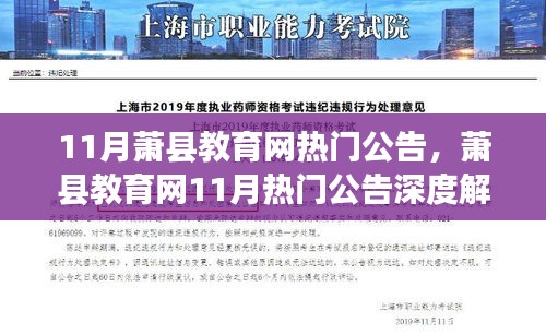 萧县教育网11月热门公告深度解析，背景、事件与影响全览