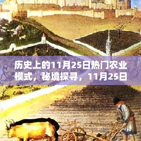 历史上的11月25日热门农业模式，秘境探寻，11月25日那些小巷深处的农业革命之星