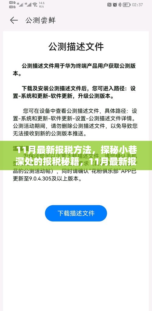 探秘最新报税秘籍，揭秘小巷深处的秘密与揭秘大揭秘大解密！