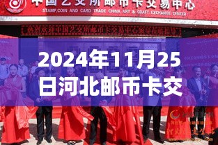 2024年11月25日河北邮币卡交热门动态，2024年河北邮币卡交易热门动态详解，从零起步掌握最新市场动态