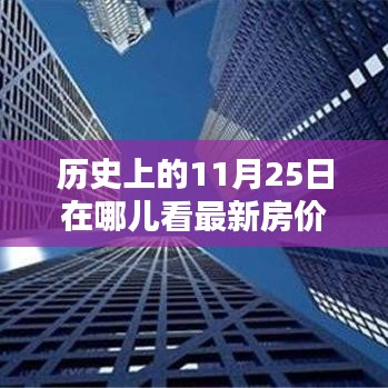 历史上的11月25日最新房价查询平台深度评测及最新房价动态解析