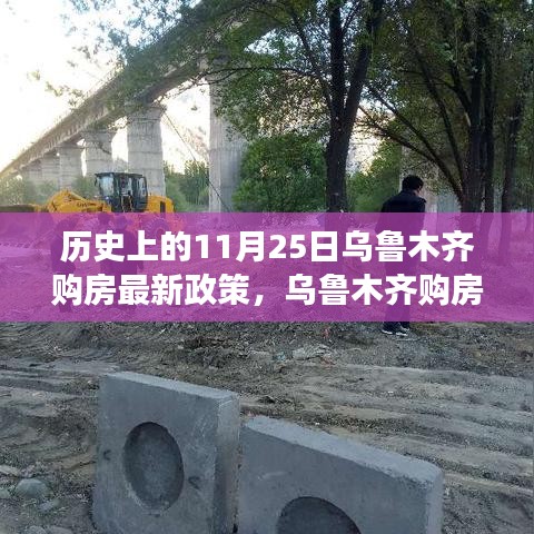 乌鲁木齐购房新政下的家园奇遇，历史时刻与温馨故事的交织