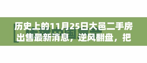 历史上的11月25日大邑二手房市场的新篇章，逆风翻盘，把握当下市场动态！