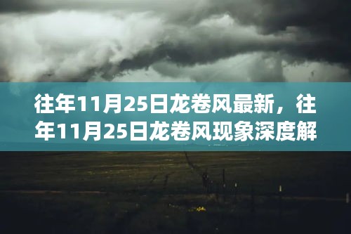 深度解析往年11月25日龙卷风现象，多方观点与个人立场探讨