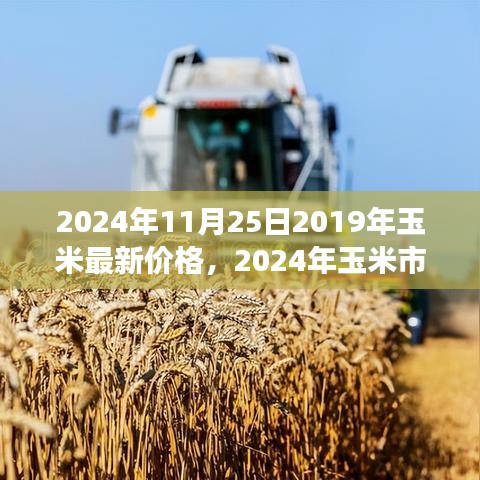 聚焦玉米市场，最新价格动态与未来走势预测（2024年玉米市场深度分析）