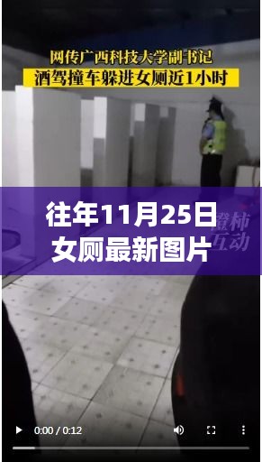 女厕间的温馨故事，历年11月25日最新图片与惊喜陪伴