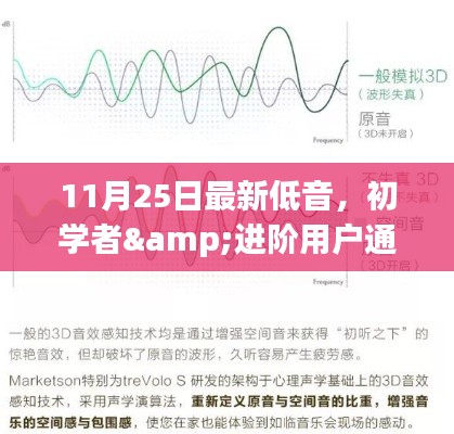 初学者与进阶用户通用，最新低音技巧全攻略（11月25日版）