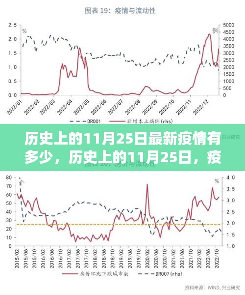 历史上的11月25日疫情深度解析与最新态势报告📆