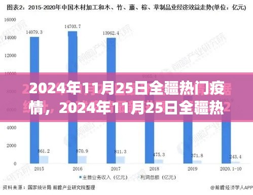 从某某观点看，全疆热门疫情深度分析——2024年11月25日的观察与探讨