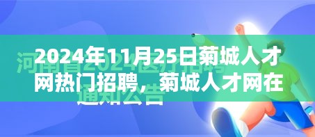 菊城人才网热门招聘活动深度评测，聚焦2024年11月25日招聘服务亮点