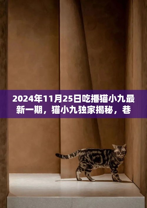 猫小九独家揭秘，巷弄深处的吃播盛宴——特别篇（日期标注版）