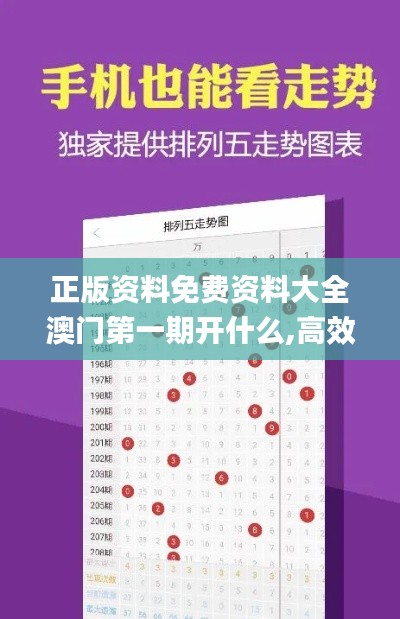 正版资料免费资料大全澳门第一期开什么,高效性设计规划_影音体验版PMY7.48