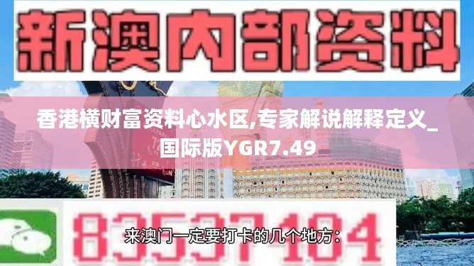 香港横财富资料心水区,专家解说解释定义_国际版YGR7.49