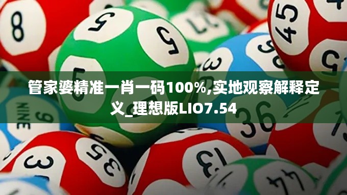 管家婆精准一肖一码100%,实地观察解释定义_理想版LIO7.54