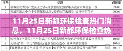 从某某观点看，11月25日新都环保检查热门消息深度解析