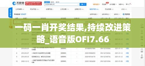 一码一肖开奖结果,持续改进策略_语音版OFI7.66