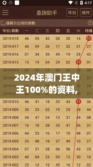 2024年澳门王中王100%的资料,执行验证计划_闪电版GOL7.72