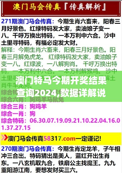 澳门特马今期开奖结果查询2024,数据详解说明_魂银版IMZ7.34